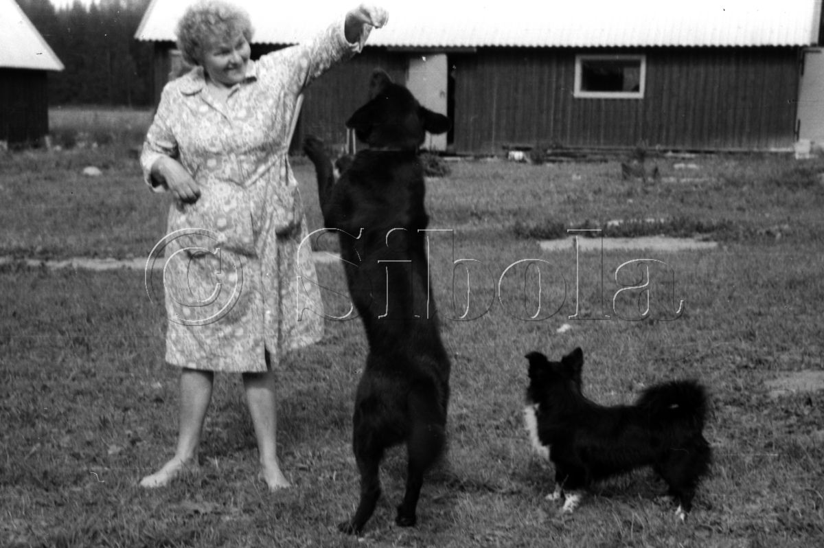 Koerad meeldisid Nanale (1989...)